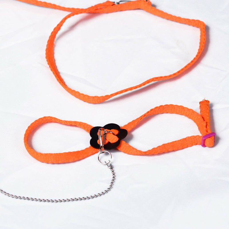 1Pc Adjustable Washable Nylon Pet Bird Parrot Harness Leash Outdoor Walking Rope