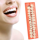 Full-mouth Denture super Wear-resistant dental Oral Care
