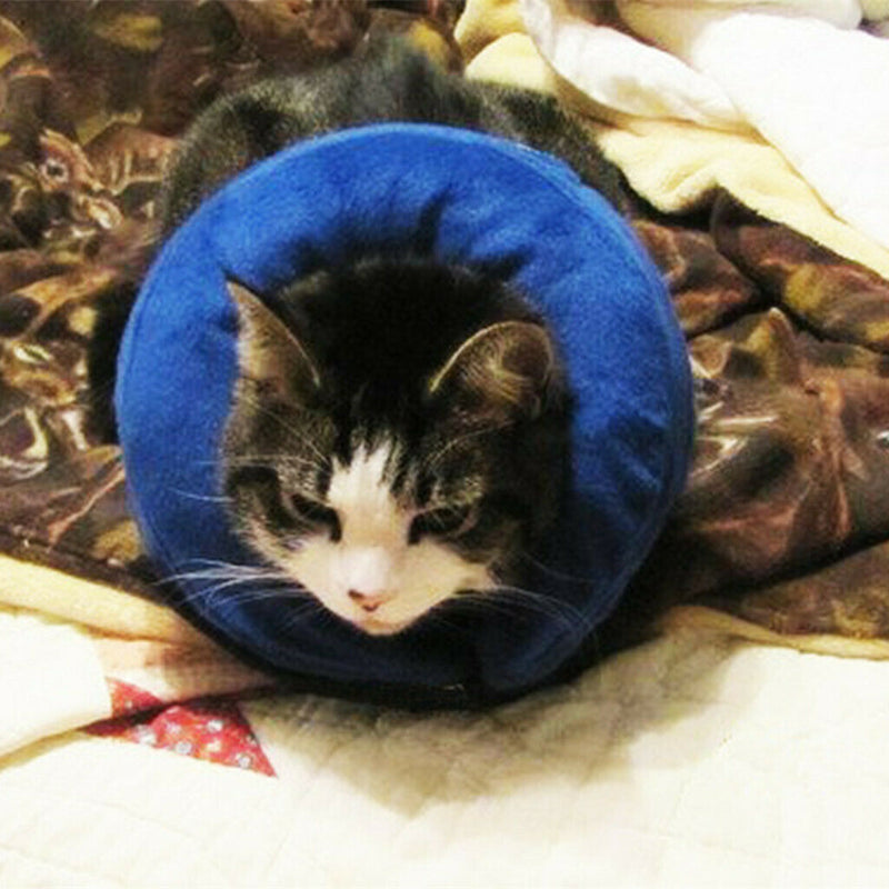 Inflatable Cat Dog Collar Pet E-Collar Alternative to Elizabethan Collar  M