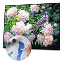 DIY Bird Flower Painting By Numbers Kit Hand Painted Canvas Oil Art Picture