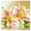 5D Embroidery Paintings Rhinestone Pasted DIY Diamond painting Cross Stitch