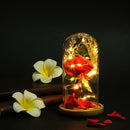Birthday Gift Beauty And The Beast Red Rose With Fallen Petals In A Glass D S9L4