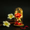 Birthday Gift Beauty And The Beast Red Rose With Fallen Petals In A Glass D S9L4