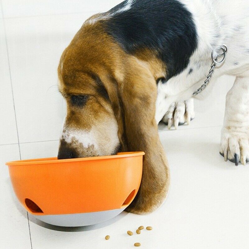Bowl Puzzle Feeder Dog Bowl - Interactive Enrichment Dog Dish - Slow Feeder