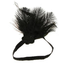 Women's 1920s Flapper Feather Headband 20s Party Headpiece Accessories