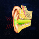 3 Pairs Of Soft Foam Sleeping Earplugs Hearing Protection Noise Reduction