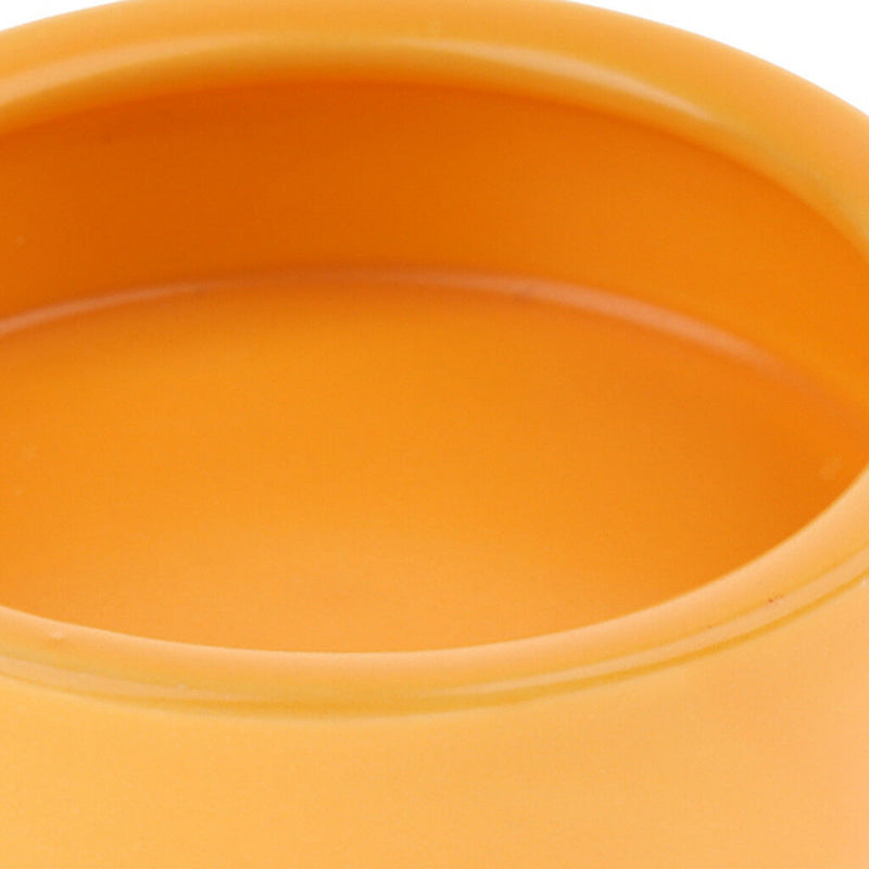 4 Pack Pet Reptile Lizard Gecko Spider Dish Anti Escape Food Worm Bowl