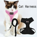 Set of 2, Pet Cat Kitten Soft & Comfy Made Well 120cm/3.94ft Leash Puppy Dog
