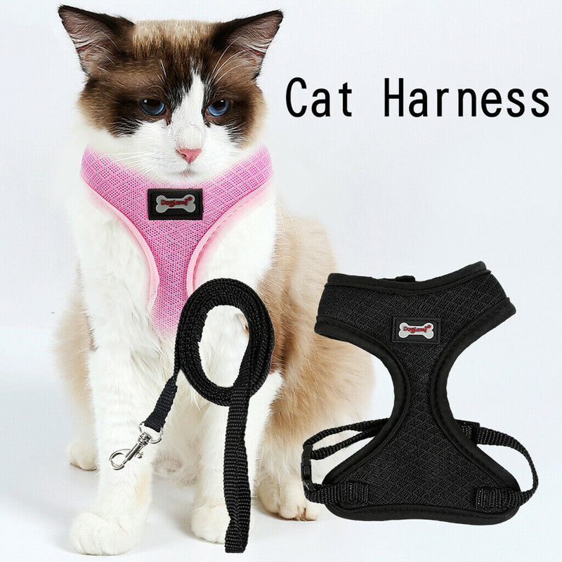 Set of 2, Pet Cat Kitten Soft & Comfy Made Well 120cm/3.94ft Leash Puppy Dog