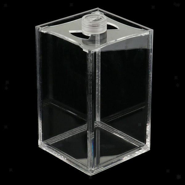Isolation Fish Tank Acrylic Transparent for Guppy and Rumble Fish