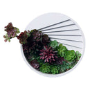 Silicone Mold Succulent Plant Planter Pot Gypsum Clay Ashtray Wax Soap Molds
