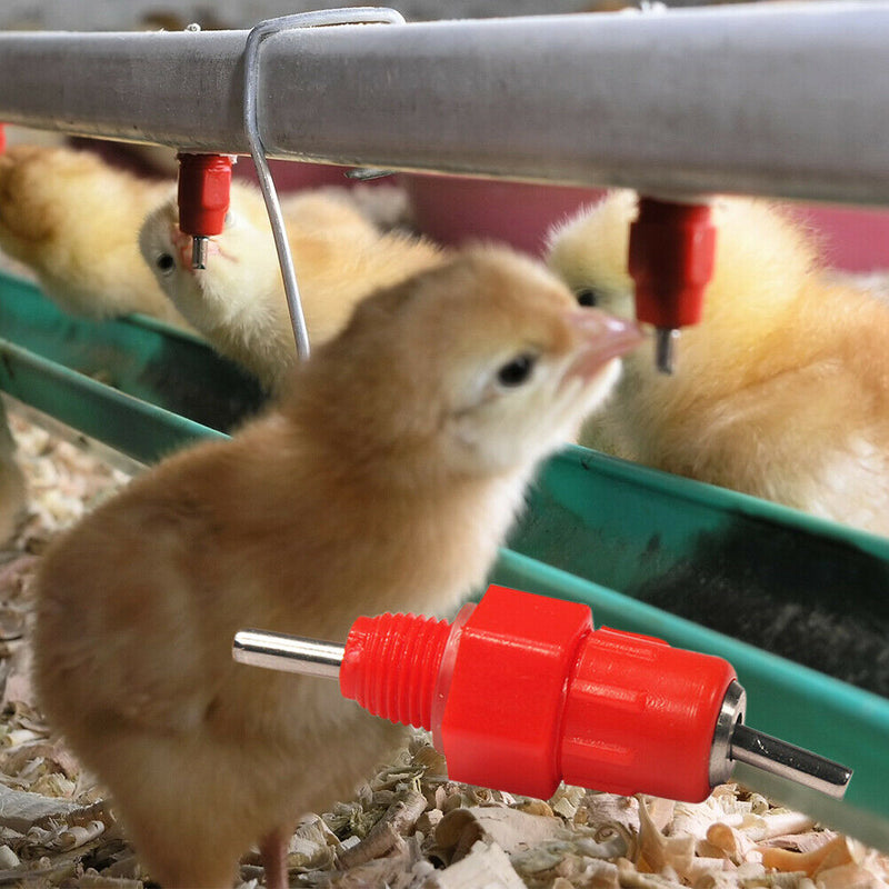 5pcs Spring Type Chicken Red Nipples Drinking Automatic Water Dispenser A