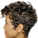 Black Short Curly Wigs Natural Synthetic Hair Wigs for Man Women
