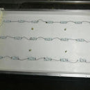 3V SMD Lamp Beads with Optical Lens Fliter for 32-65 inch LED TV Repair(20p M6C6