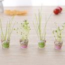 Creative Cultivate Plant Gel Pen Garden Grow Grass Pens Children Stationery Gift