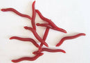 50PCS Red Earthworm Soft Worm Fishing Lures Bait Hooks Baits Tackle Crankbaits~~