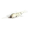 10Pcs Artificial Fishing Lure Bionic Shrimp Soft Bait Fishing Tackle Lifeli O5H7