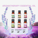 6 Scents 100% Pure Natural Essential Oil Bottle for Aromatherapy Aroma Diffuser