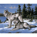 Snow Wolf DIY Oil Painting Paint By Numbers Kit Unframed Beginner Home Art Decor