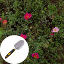 Garden Tools Garden Weeding Shovel Ergonomic Design, Suitable For Excavatio