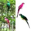 2Pieces Realistic Macaw Parrot Artificial Feather Bird Toys Rose Red & Green