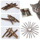 10x Cat Snacks Natural Matatabi Chew Catnip Stick Teeth Molar Cleaning Brus M1R8