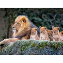 5D DIY Full Drill Diamond Painting Animal Tiger Cross Stitch Kits (K519)