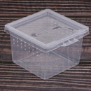 10Pcs Reptile Feeding Box Reptile Insect Turtle Hatching Box For Reptile Turtle