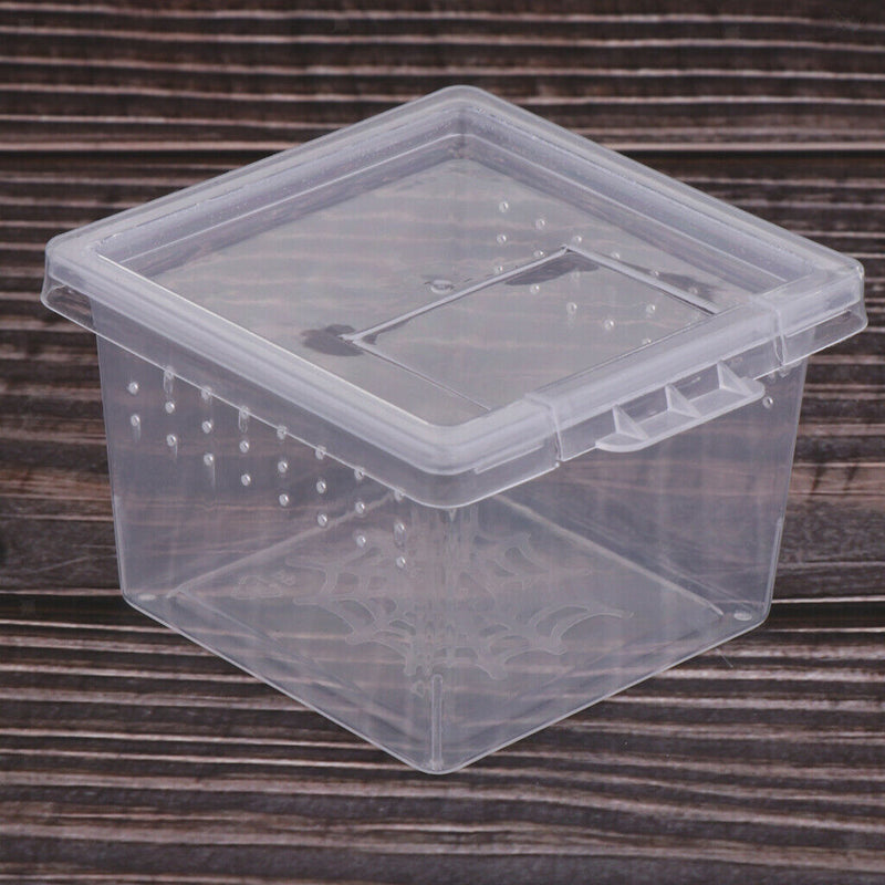 10Pcs Reptile Feeding Box Reptile Insect Turtle Hatching Box For Reptile Turtle
