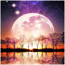 5D DIY Full Drill Diamond Painting Moon Embroidery Mosaic Craft Kit Cross Stitch