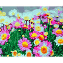 DIY Chrysanthemum Painting By Numbers Kit Canvas Oil Art Picture Craft