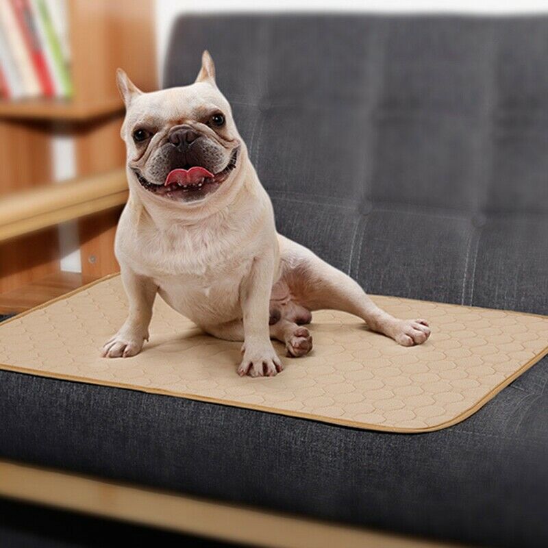 Anti-Slip Washable Dog Pet Diaper Mat Urine Absorbent Environment Protect D