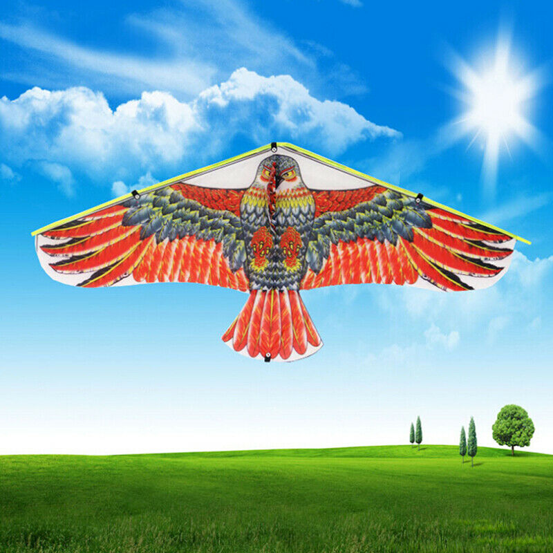 1Pc 1M Flat Eagle Kite With 50M Kite Line Children Flying Bird Kites Outdoor  Pg