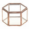 Geometric Glass Terrarium Box Jewelry Box Glass Succulent Plant Pot Deco He