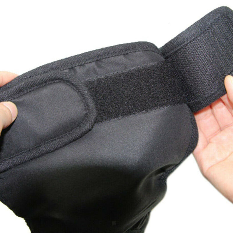 2Pcs Pet Puppy Dog Physiological Pant Female Dog Sanitary Pant Diaper Nappy  L