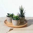 3Pcs Artificial Succulent Potted Plant Small Pots 7/8/14cm Indoor Outdoor Decor