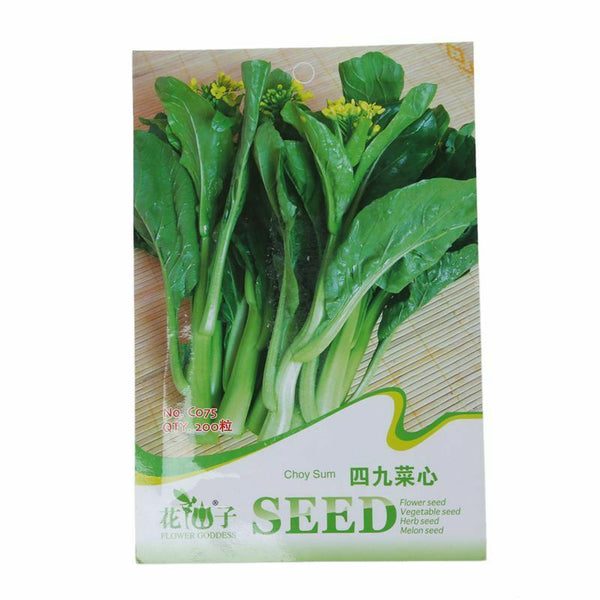 1 Bag 200 Seeds Cabbage Vegetables