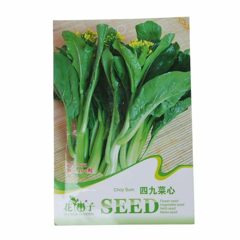 1 Bag 200 Seeds Cabbage Vegetables