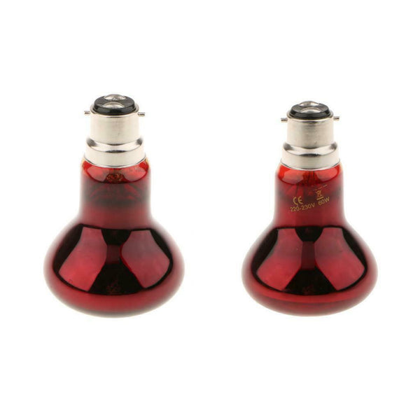 2Pcs B22 Reptile Heat Basking Lamp UVA Heater Glass Heat Emitter 220V 60W