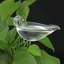 2X Glass Plant Flowers Water Slow Feeders Self Watering Bird Snail Pla FLN