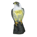 Realistic Eagle Hawk Hunting Decoyl Bird Pigeon Scarer Outdoor Garden Decor