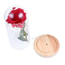 Rose 20 LED String Light Glass Dome Night Lamp Party Home Decor (Beige Base