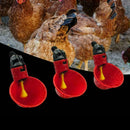 Chicken Drinking Cups Quail Water Bowls Bird Plastic Animal Cage Feeder 1pc S5O4