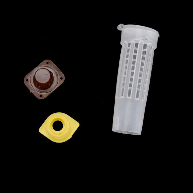 131x Complete Bee Queen Rearing Cup kit Box System Beekeeping Cage Cell Cup Kit