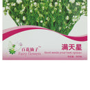 Aromatic Gypsophila Seeds Potted Gypsophila Paniculata Garden Flower Seed LJ