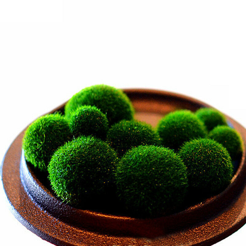 1pc Green Nano Seaweed Ball Moss Live Aquarium Plant Fis AU