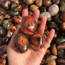 1Pc Lot Natural Banded Agate Tumbled  Patterns Stone Collectables Crafts Random