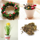 10g Dried Artificial Reindeer Moss Plant For Flower Hanging Basket Home Decor M&