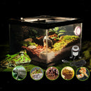 Heat Light Fixture For Reptiles - Lamp Head Holder- In Your Turtle,