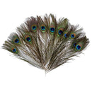 Pack of 12 Peacock Feathers Approx 10" to 12" Inches Natural Peacock Eye Fe